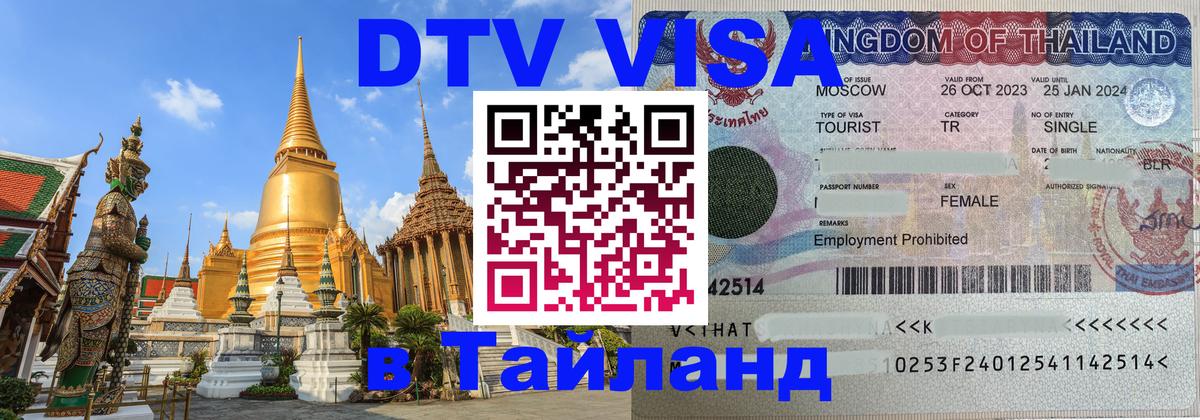 Оформление DTV визы под ключ: стоимость и тарифы, только загранпаспорт - 08.01.2026 